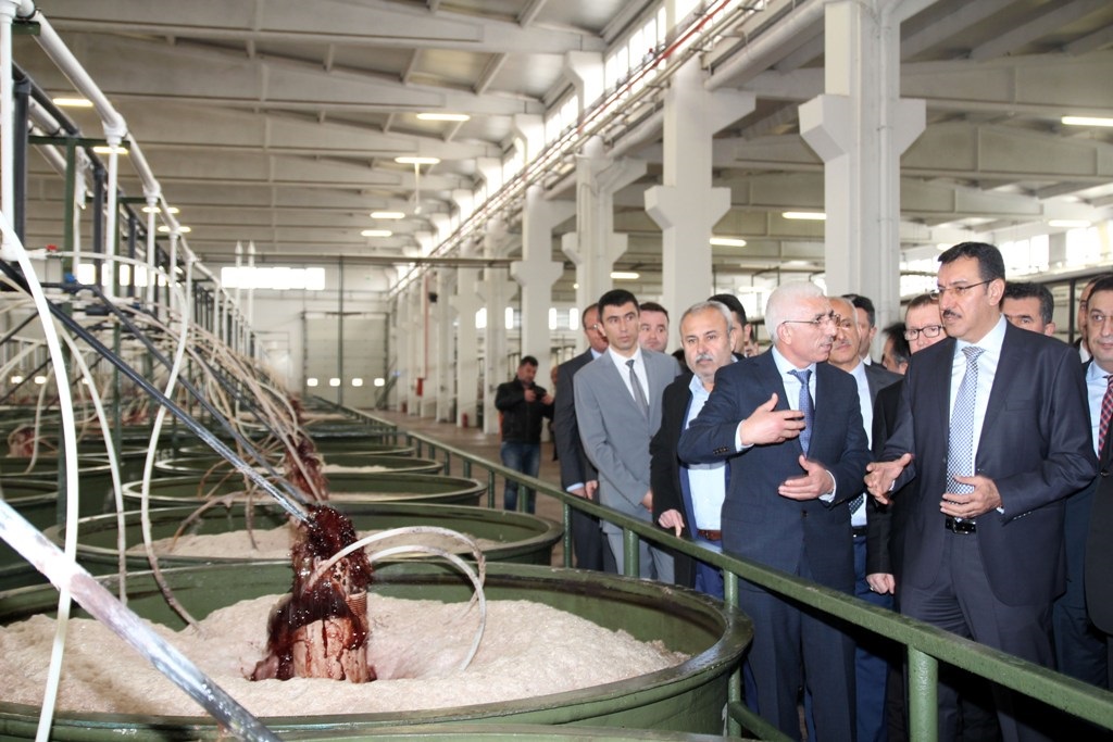 Şirketimiz, Lisanslı Depoculuk Zeytin Faaliyet Lisansını Aldı