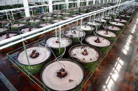 MARMARABİRLİK Tarım Ürünleri Lisanslı Depoculuk A.Ş. Olağan Genel Kurul